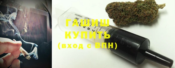 прущие грибы Пересвет