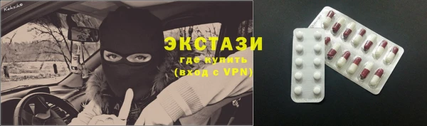 индика Пенза