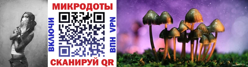 Галлюциногенные грибы MAGIC MUSHROOMS  Кувшиново 